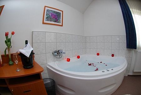 Apartment with jacuzzi in Hotel Platan - hotel in Szekesfehervar