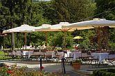 4-star hotel in Tarcal - Degenfeld Castle Hotel - terrace