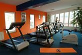 Fitness room von Hotel Lido Budapest in the district Romaifurdo, near the roman city Aquincum