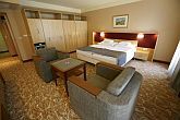 4* accommodation in Harkany - hotel room in Drava Thermal Hotel
