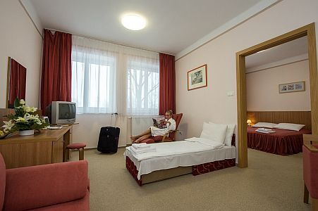 Alföld Gyöngye Hotel - discount package offers with half board in Gyoparosfurdo