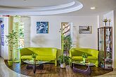 Patak Park Hotel Visegrad - beautiful hotel in Visegrad with Danube panorama